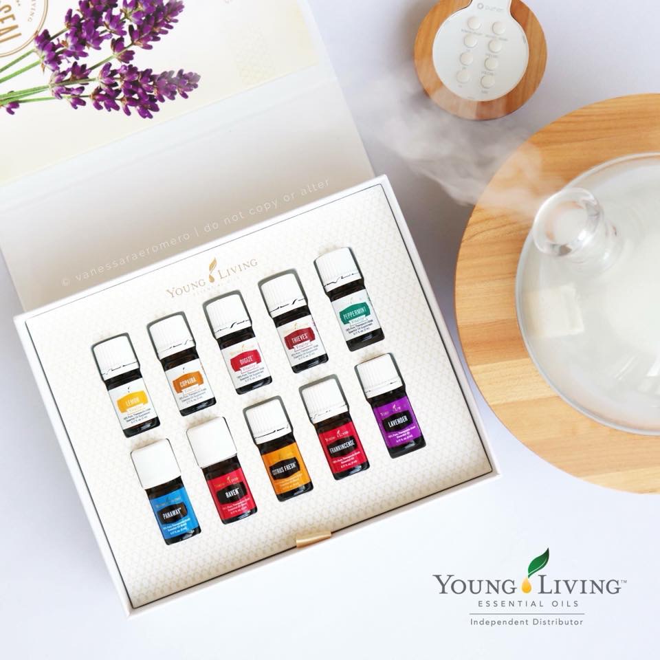 Save 50% off wholesale pricinmg