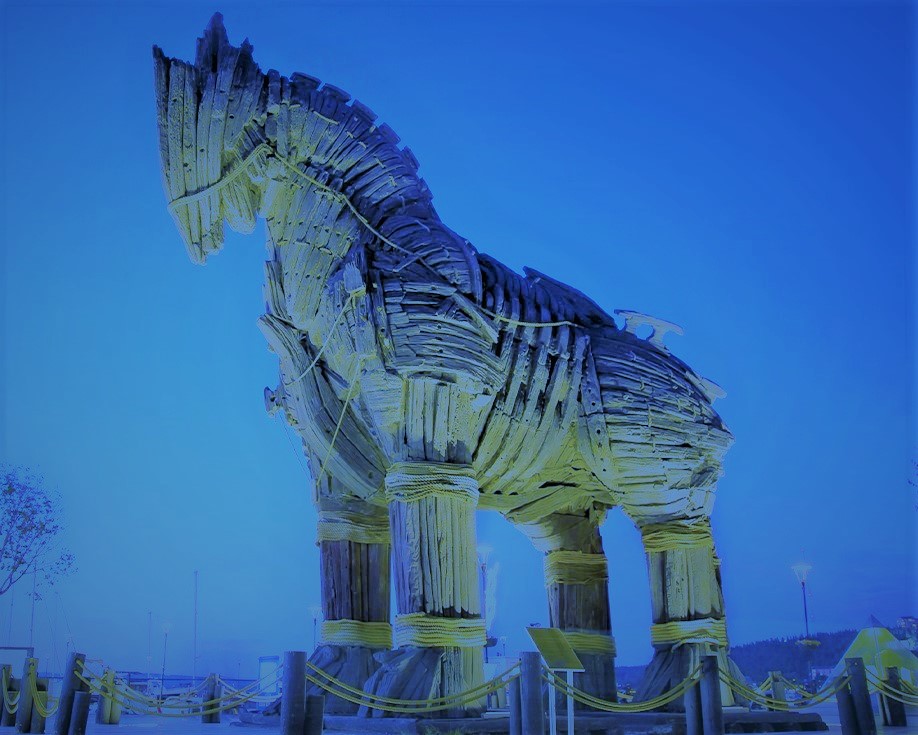 Large suburban house