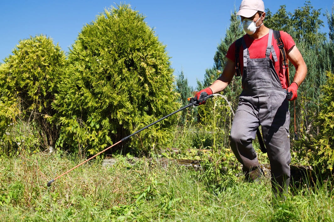 Agroquímicos La Perla del Cupatitzio SA de CV - Fungicidas
