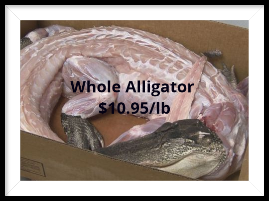 https://0201.nccdn.net/1_2/000/000/0d0/a48/whole-alligator-.png