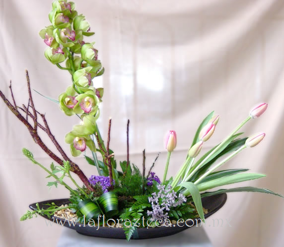 MD - 146  $1,860
Canoa de tulipanes y orquídea cymbidium verde