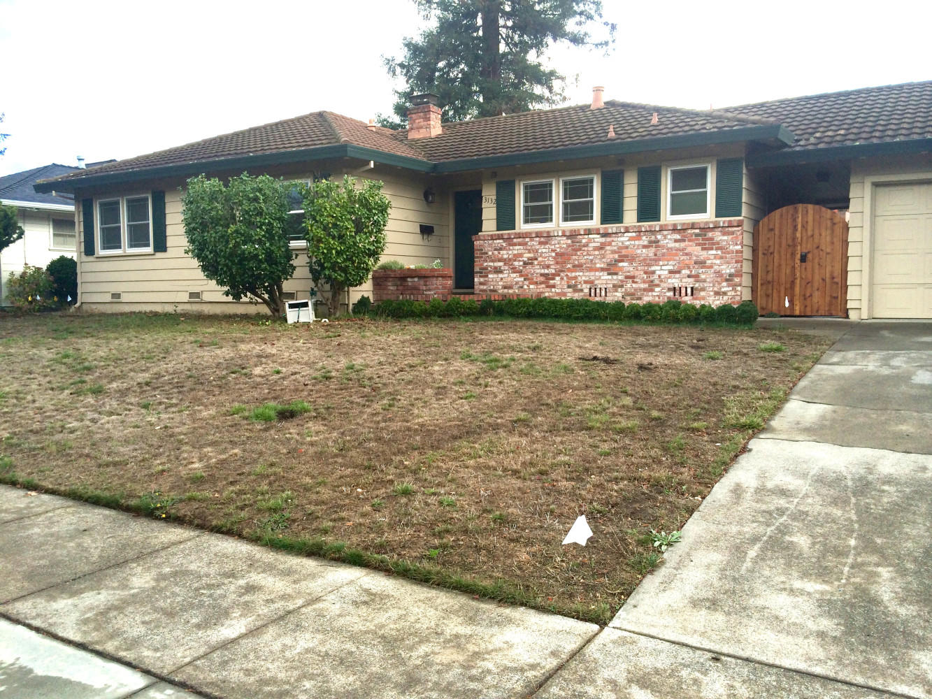 BEFORE - lawn removal, drought-tolerant, zero-maintenance conversion.