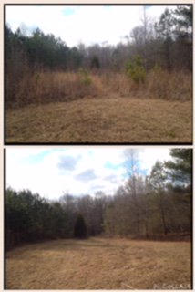 Cleared out 2 acre site