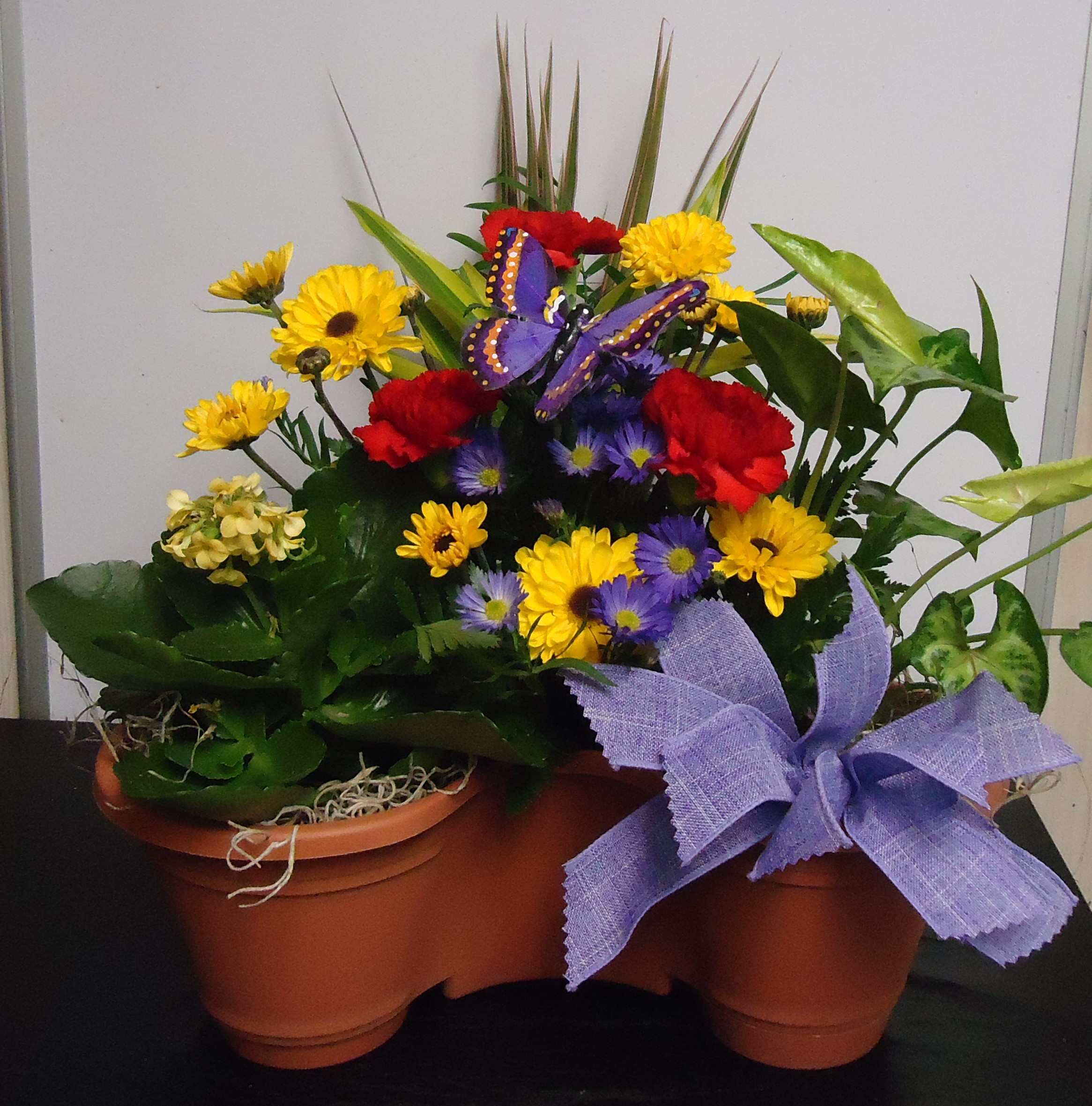 (1) "Three" Plant Combo
W/ Fresh Flowers
$65.00
(Plants & Flowers May Vary)