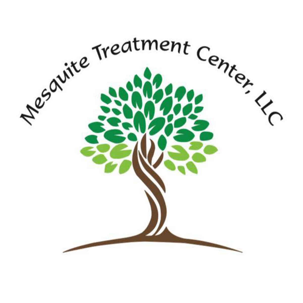 https://0201.nccdn.net/1_2/000/000/0d1/785/mesquite-logo.png