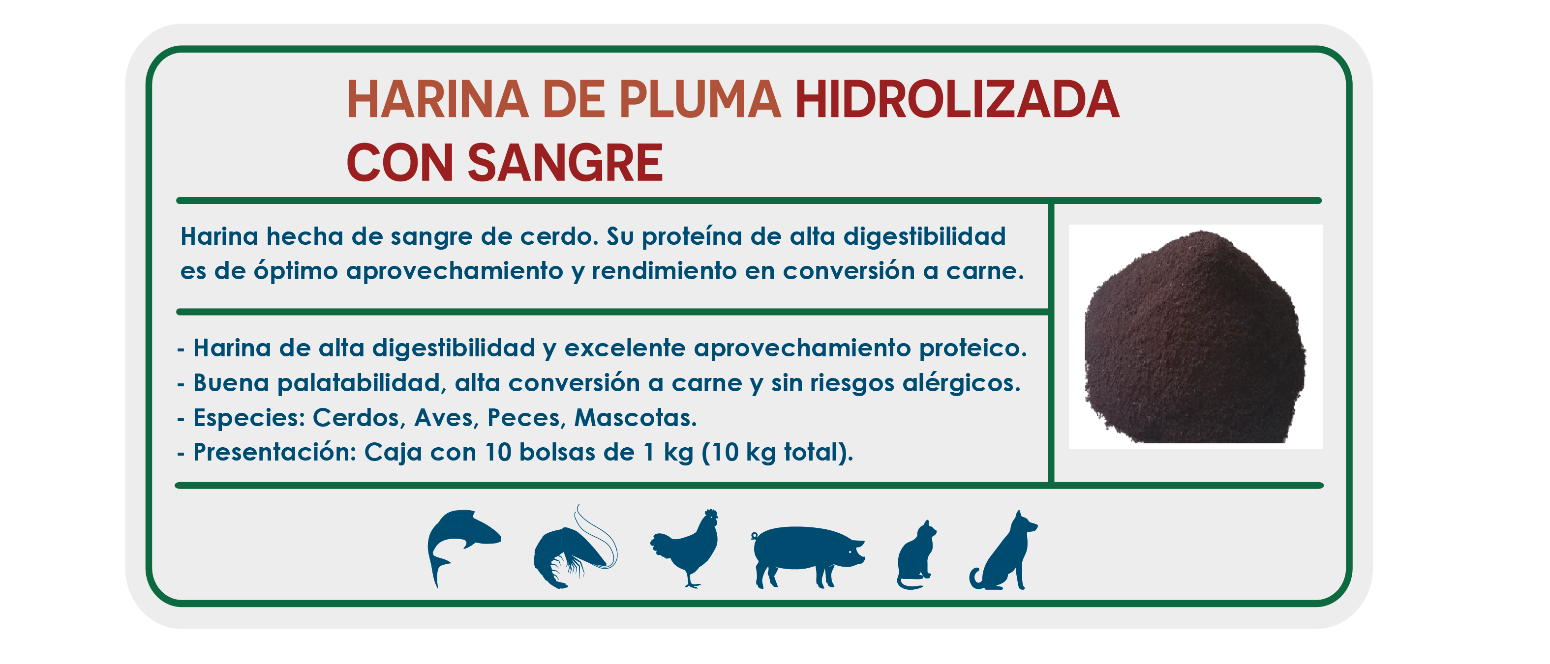 https://0201.nccdn.net/1_2/000/000/0d1/7f9/ficha_ecommerce-16.png