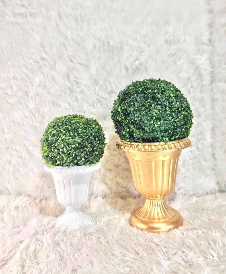 Copon Pequeño $10.000
Copon Grande $15.000
Alquiler