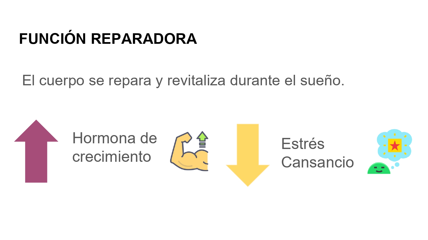 https://0201.nccdn.net/1_2/000/000/0d1/f2f/higiene-de-sue%C3%B1o-_page-0010.jpg