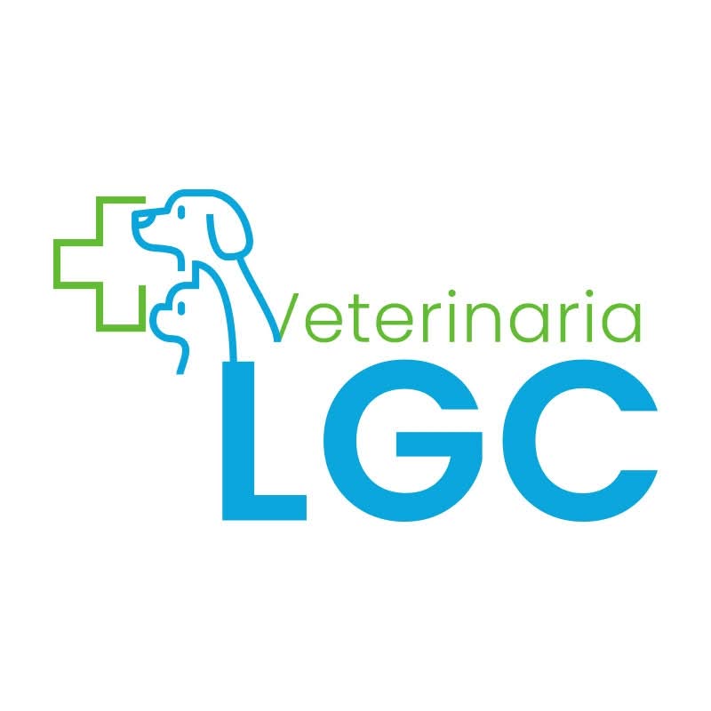 (##AI##(Background.image1.alt)##AI##)