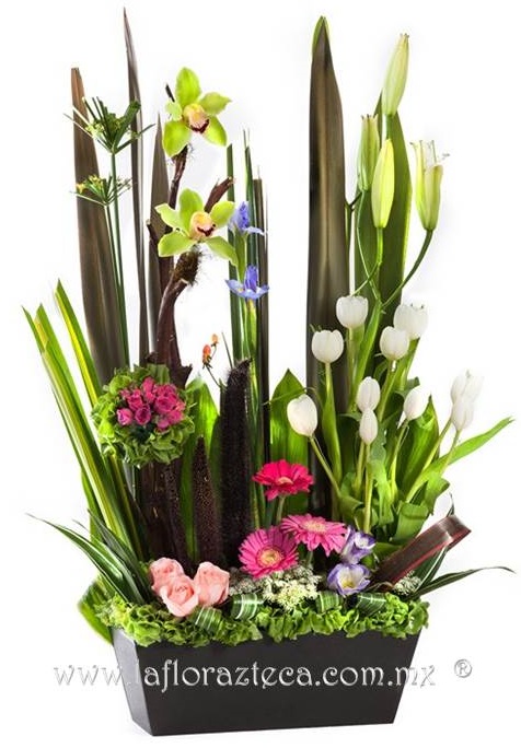 LFA-OT013 Orquídeas cymbidium
Precio $3,210