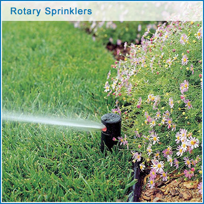 https://0201.nccdn.net/1_2/000/000/0d2/aca/rotary.jpg