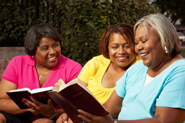 Mature Group of Women Talking and Reading