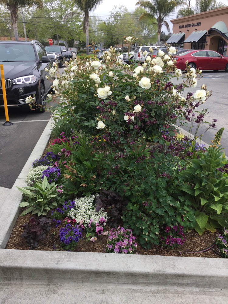 Gayle’s Bakery and Rosticceria 6