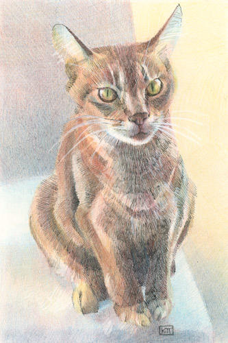 SOFA 2008:  Polly (9" x 6" pen and ink and coloured pencil) £220