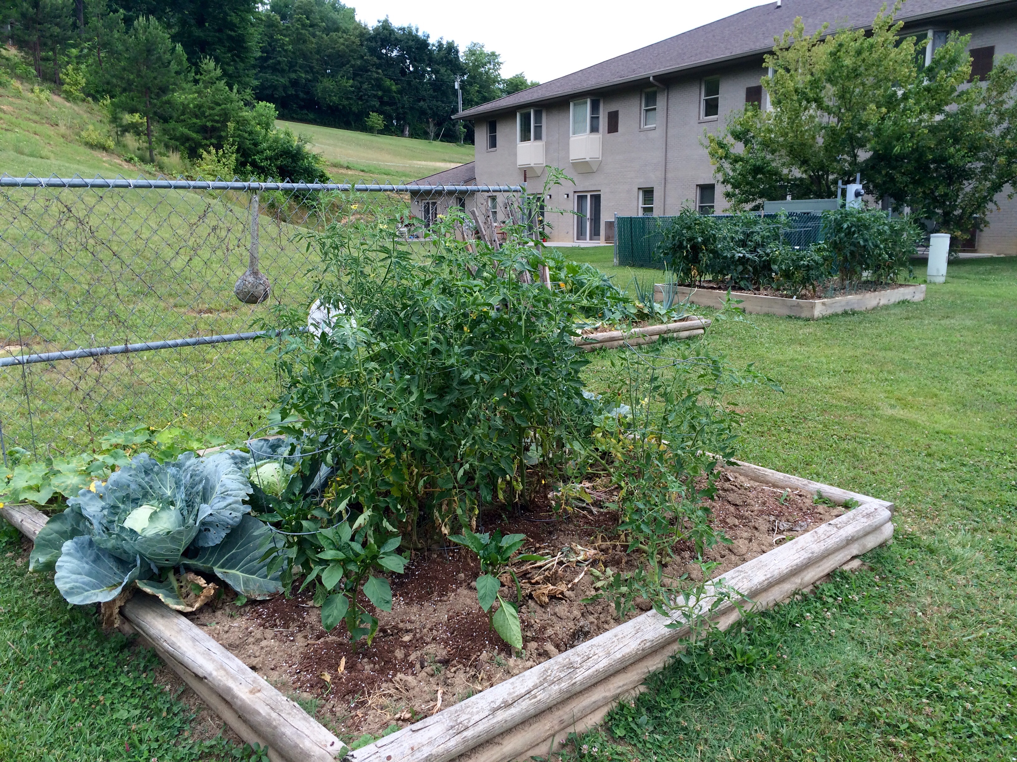 Resident Garden