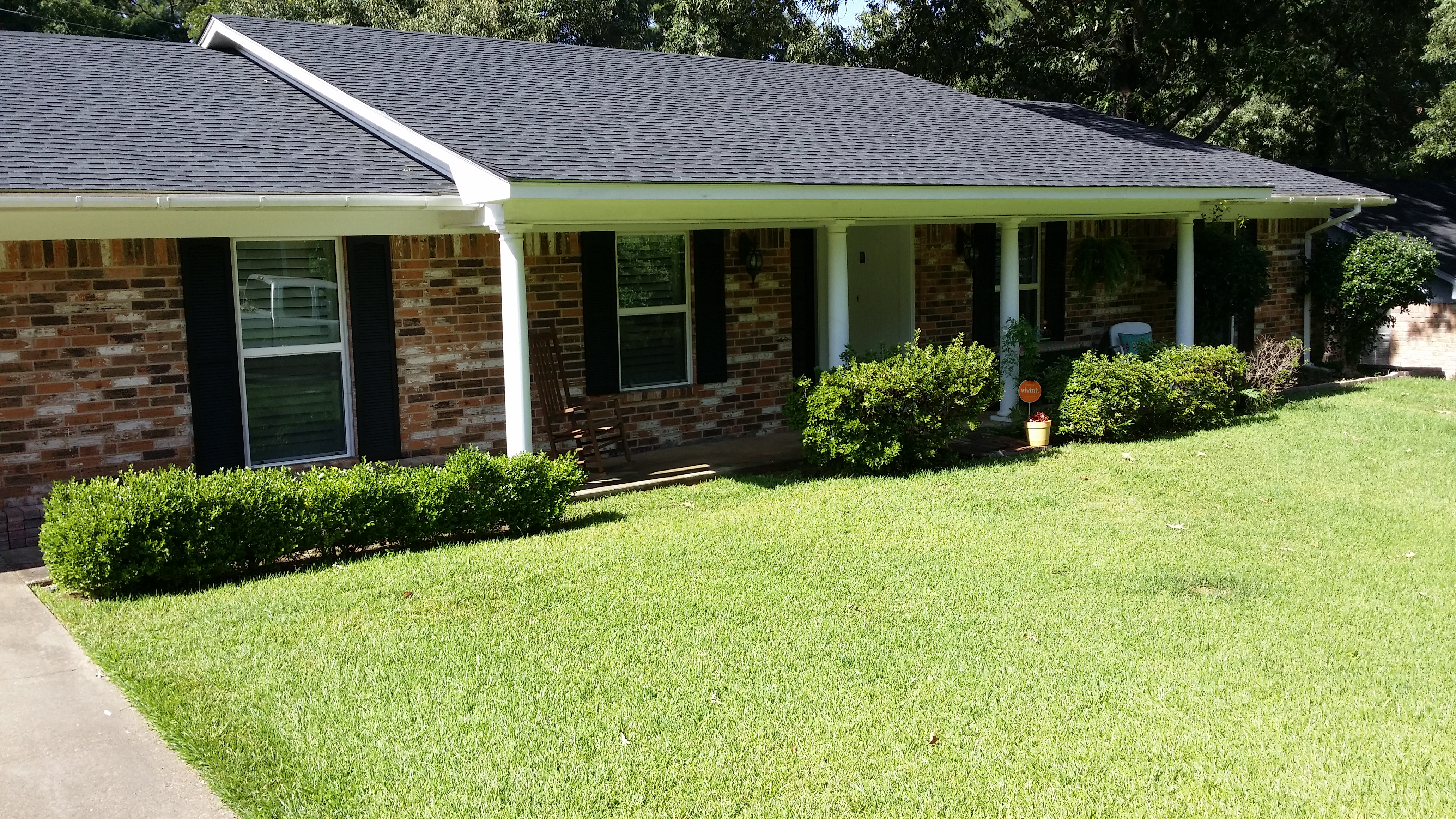 Front Lawn After Cleanup