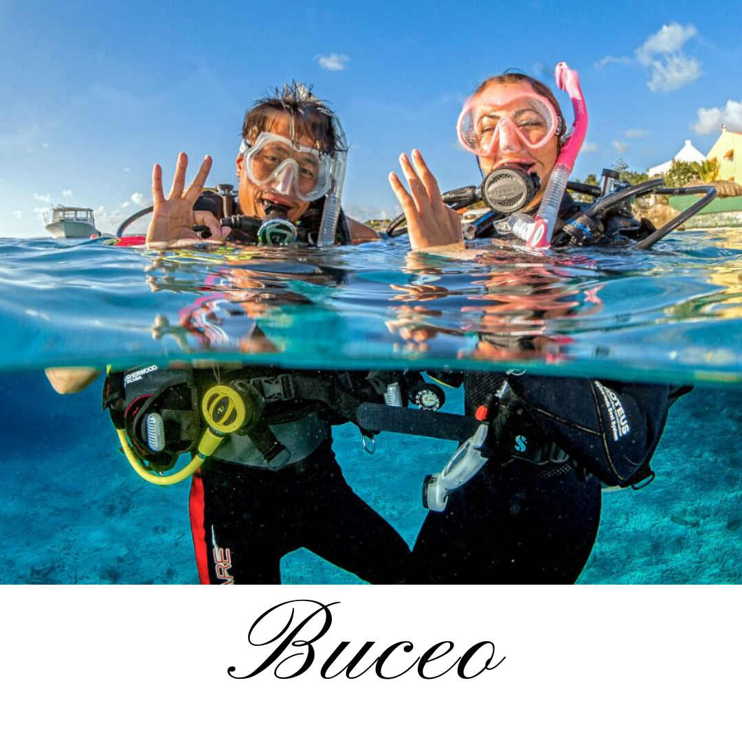 https://0201.nccdn.net/1_2/000/000/0d3/d2c/buceo.png