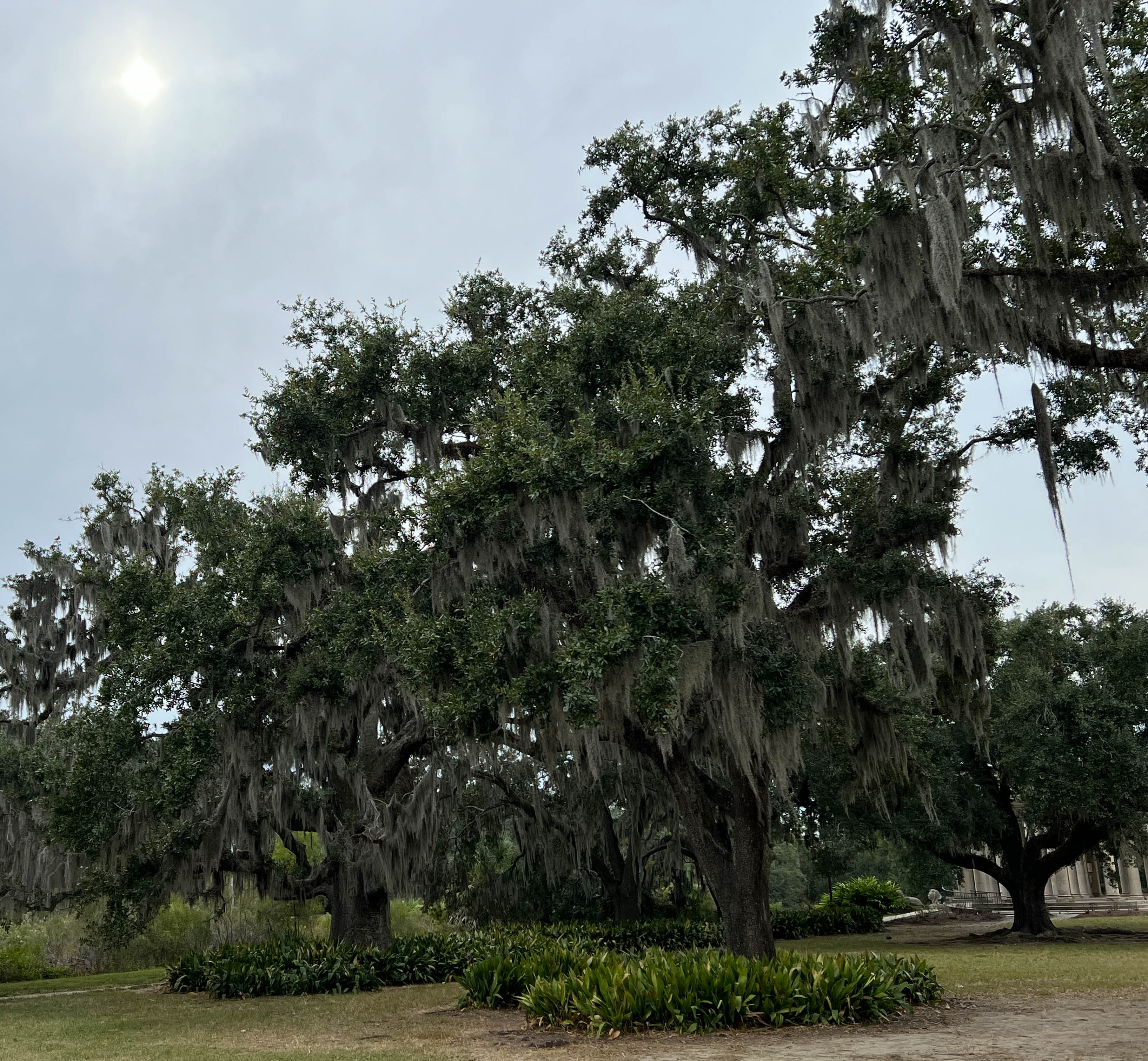 https://0201.nccdn.net/1_2/000/000/0d3/db6/new-orleans-order-7.jpg
