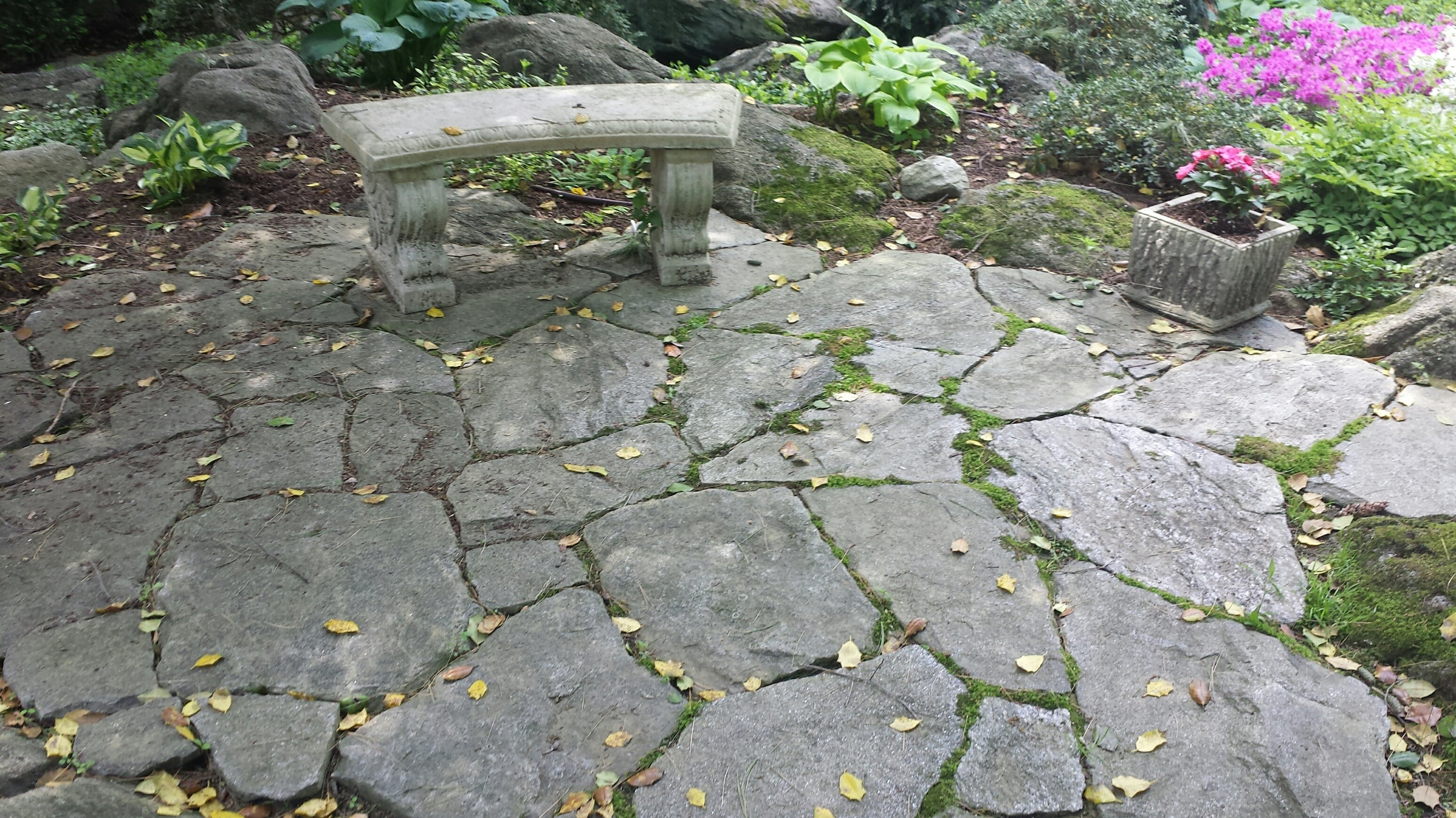 Backyard With Concrete Chair