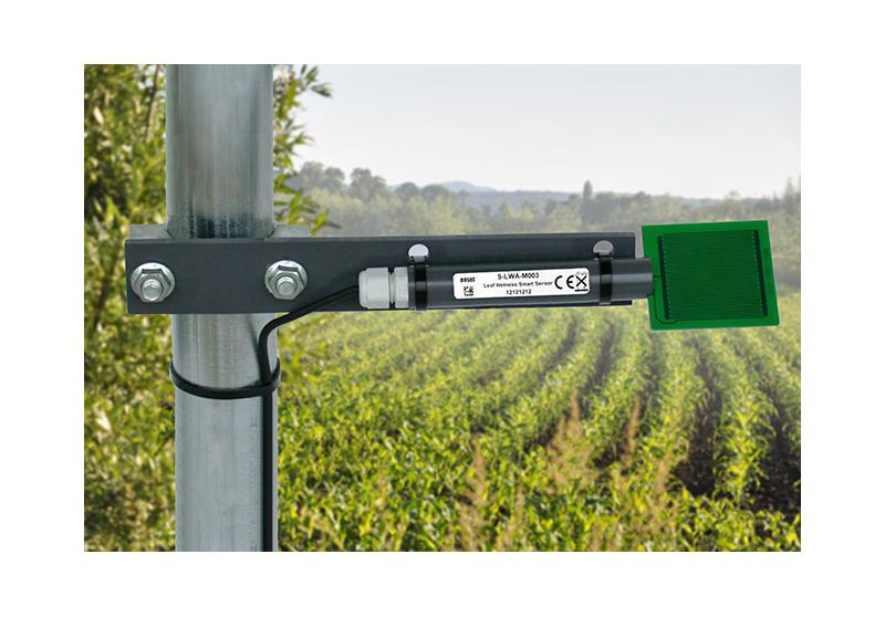 Sensor inteligente HOBO S-LWA-M003