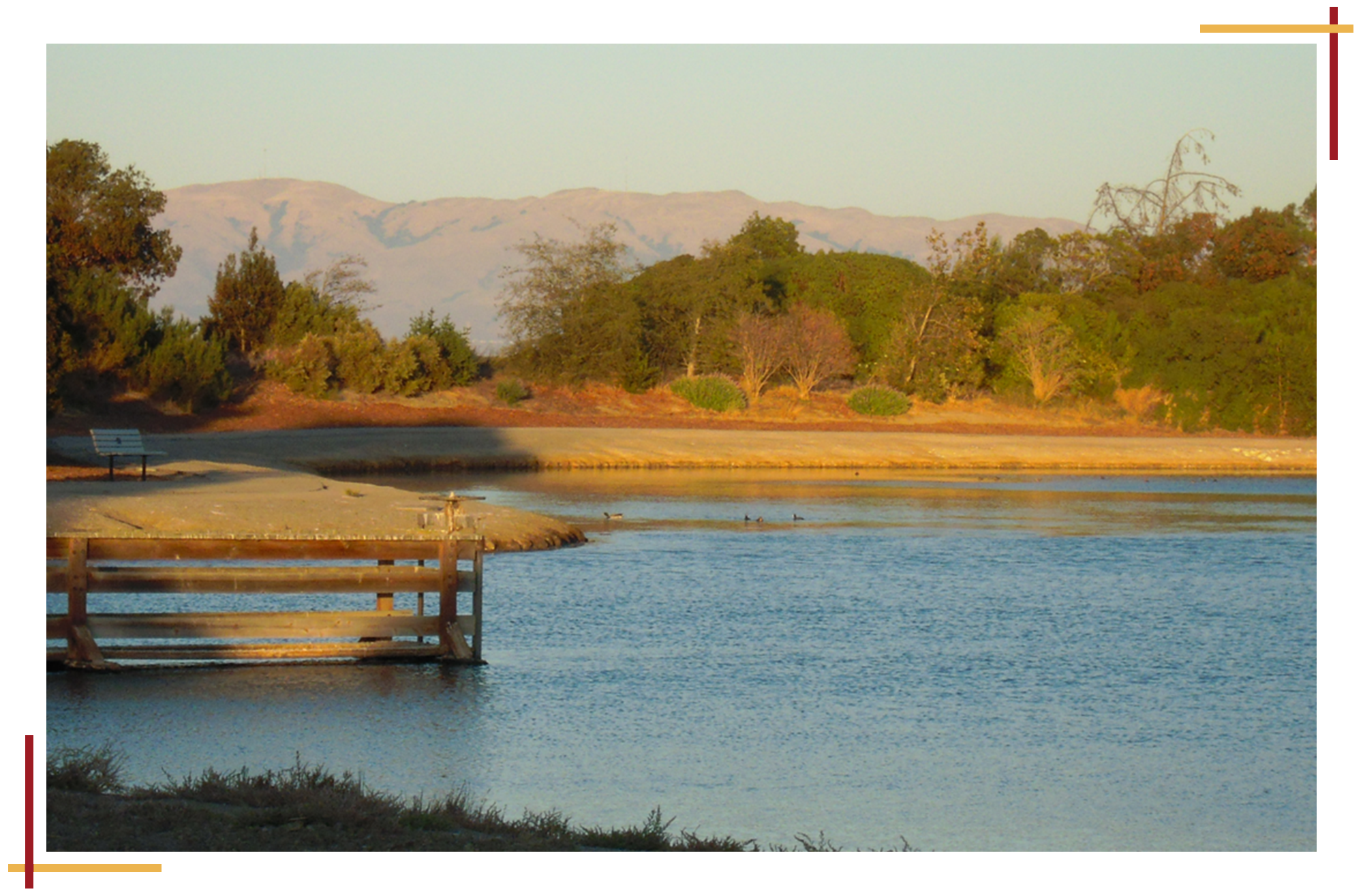 Pond