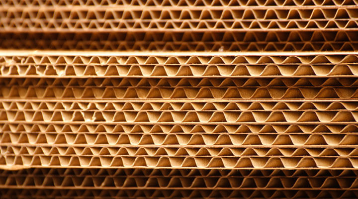 Comercial Macedo Gutierrez S.A. de C.V. - CARTON CURRUGADO