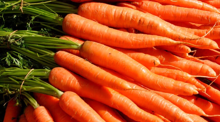 Grupo Zaqui S.P.R. de R.L. - ZANAHORIA