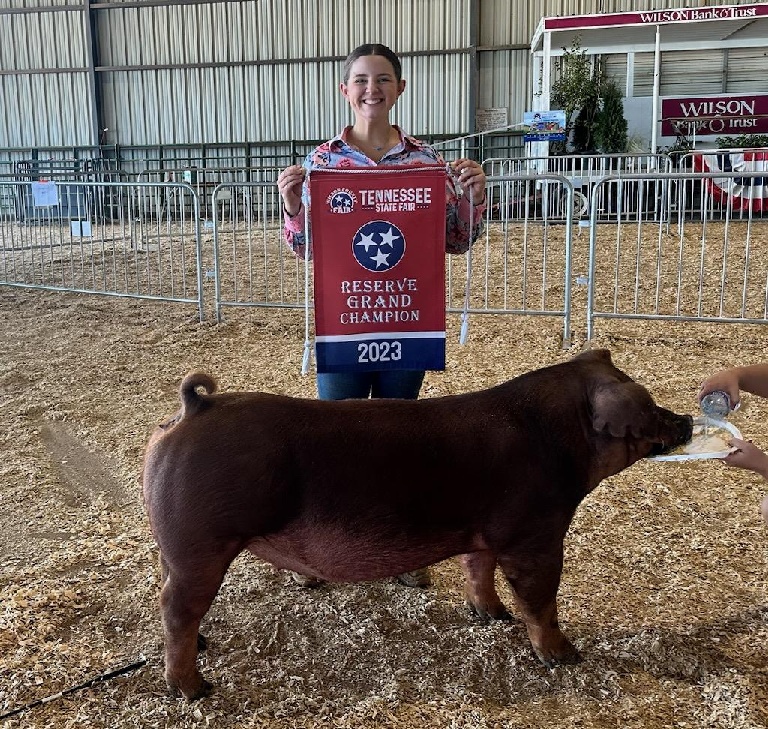 Ann Thomas Lowery
2023 Tennessee State Fair
Reserve Champion TN Bred Duroc Gilt