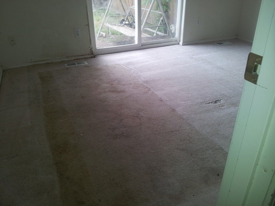 Carpet (After) 1