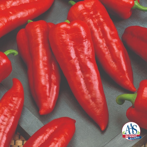 Pepper Giant Ristra Pepper Giant Ristra