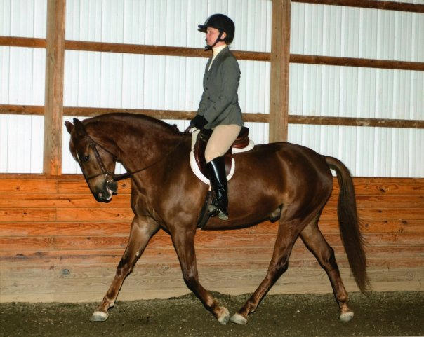 Kirsten on Ritz, at two years old. He won reserve champion in this, his first show!