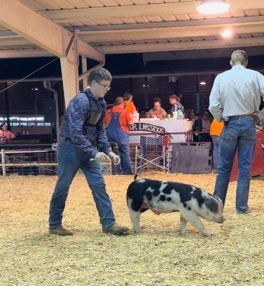 Weston Satterfield
2024 Big Orange Fall Classic
Champion TN Bred Spot Barrow