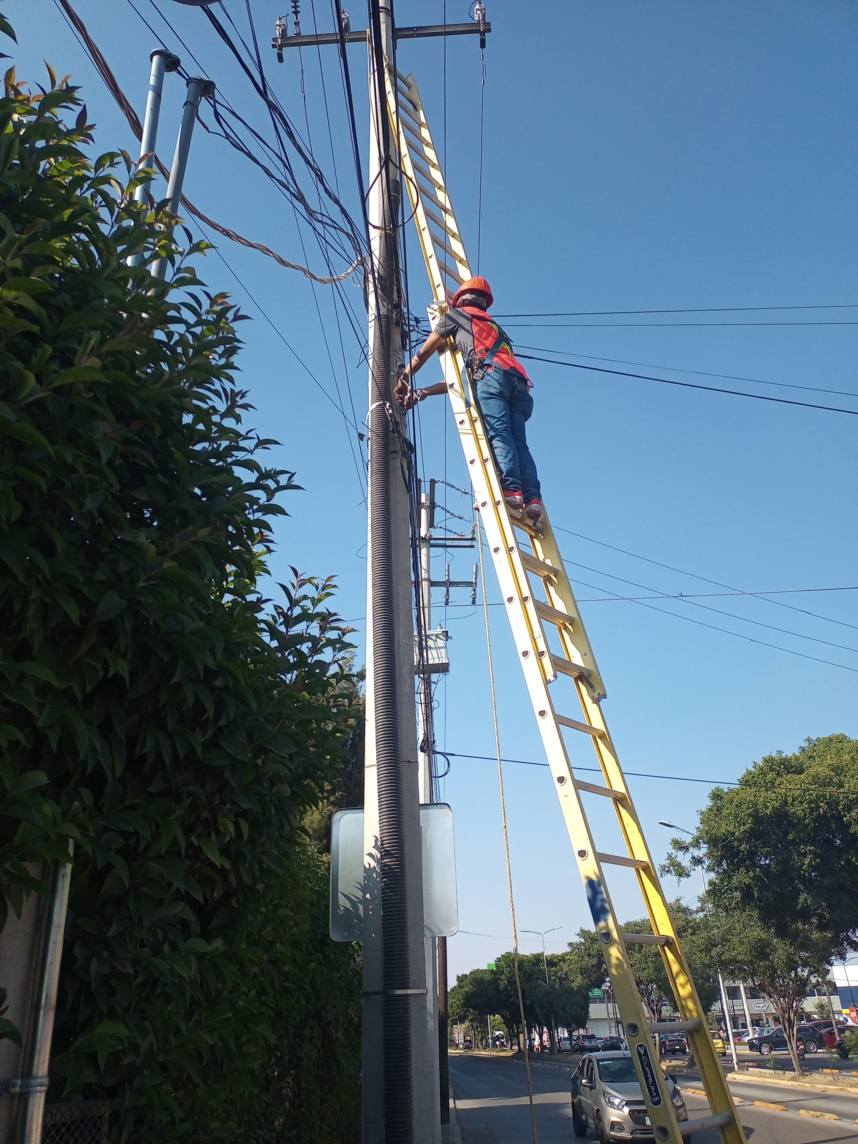 COLOCACIÓN DE PAD NEGRO