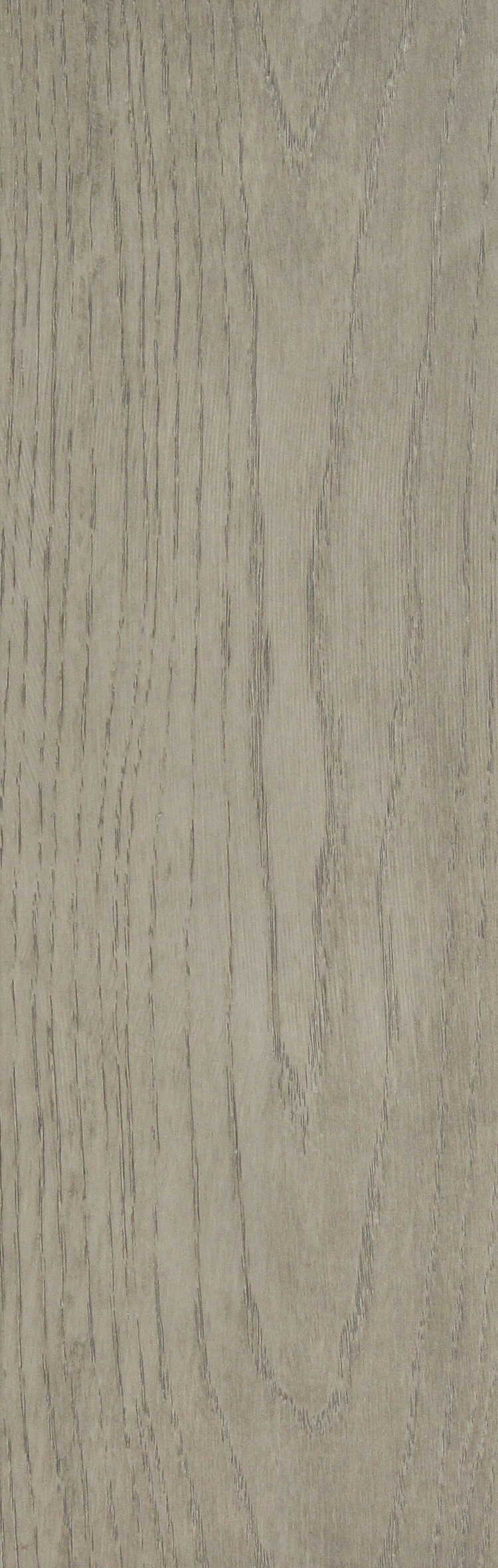 GRAY OAK 
TMLO10-GONV