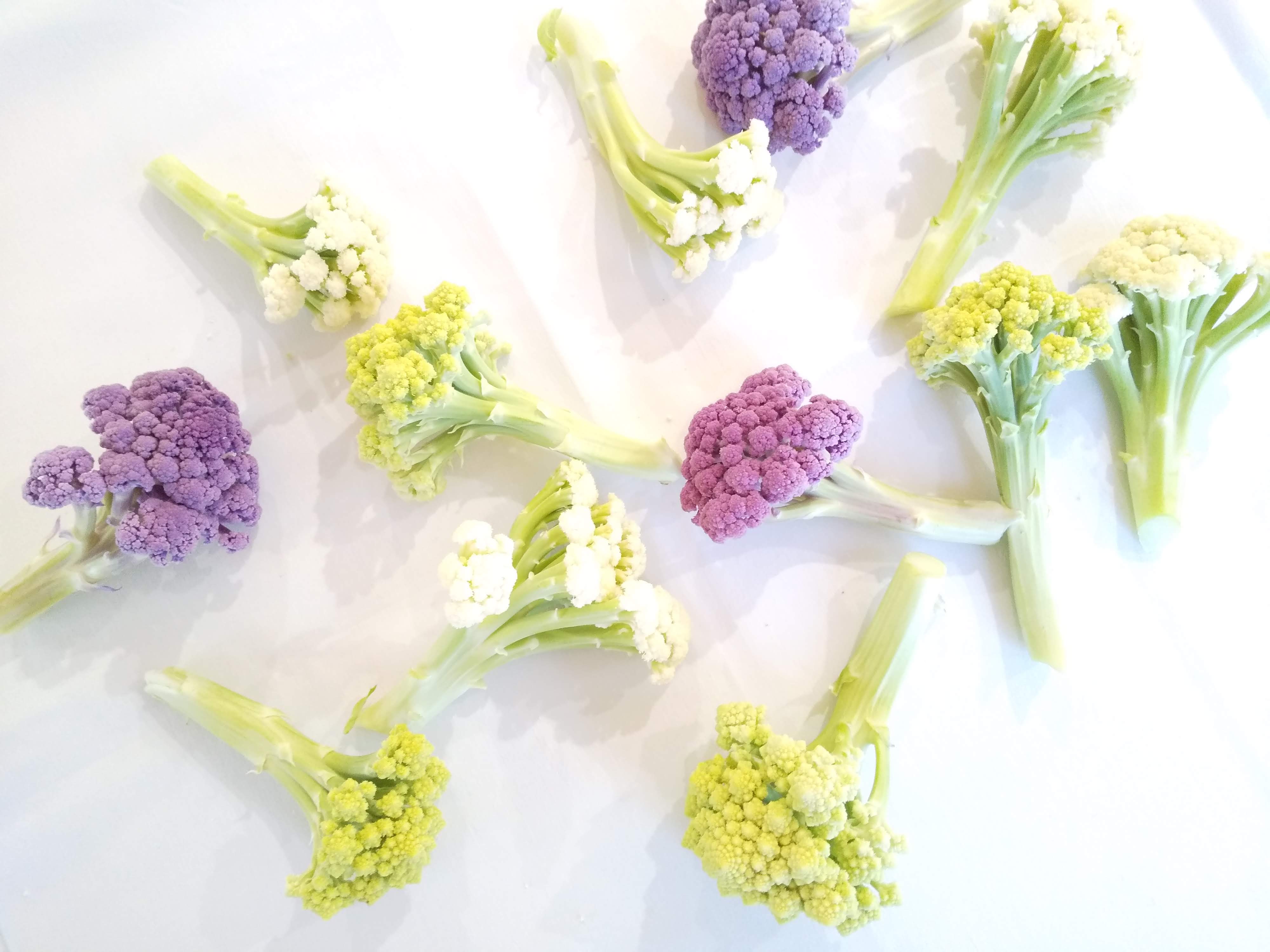 Línea Exclusiva de Coliflores