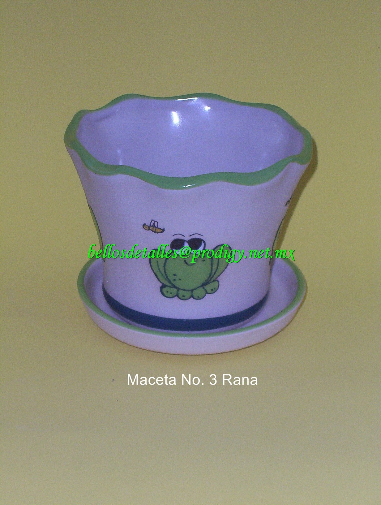 https://0201.nccdn.net/1_2/000/000/0d6/783/Maceta-No.-3-rana-1232x1632.jpg