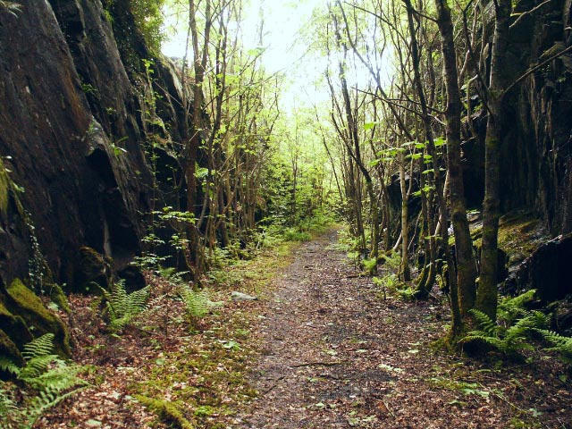 Old Railway line, Greagan