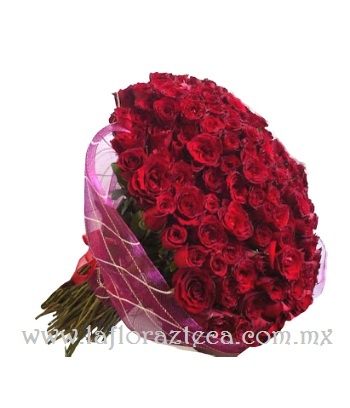Mom-126/ 500 Rosas
Precio $14,400