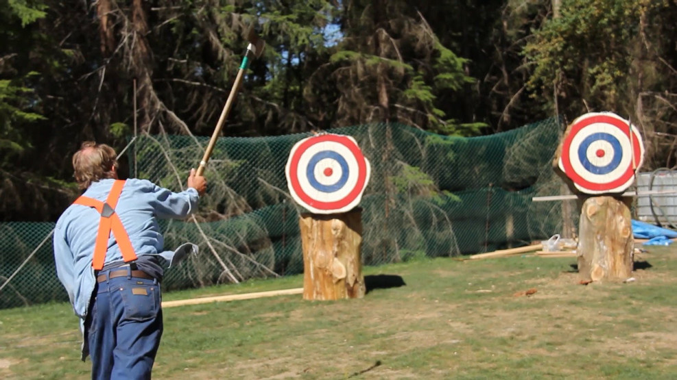 Gary Anderson one arm style