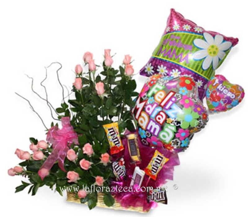 LFA-B010
Precio $1,370