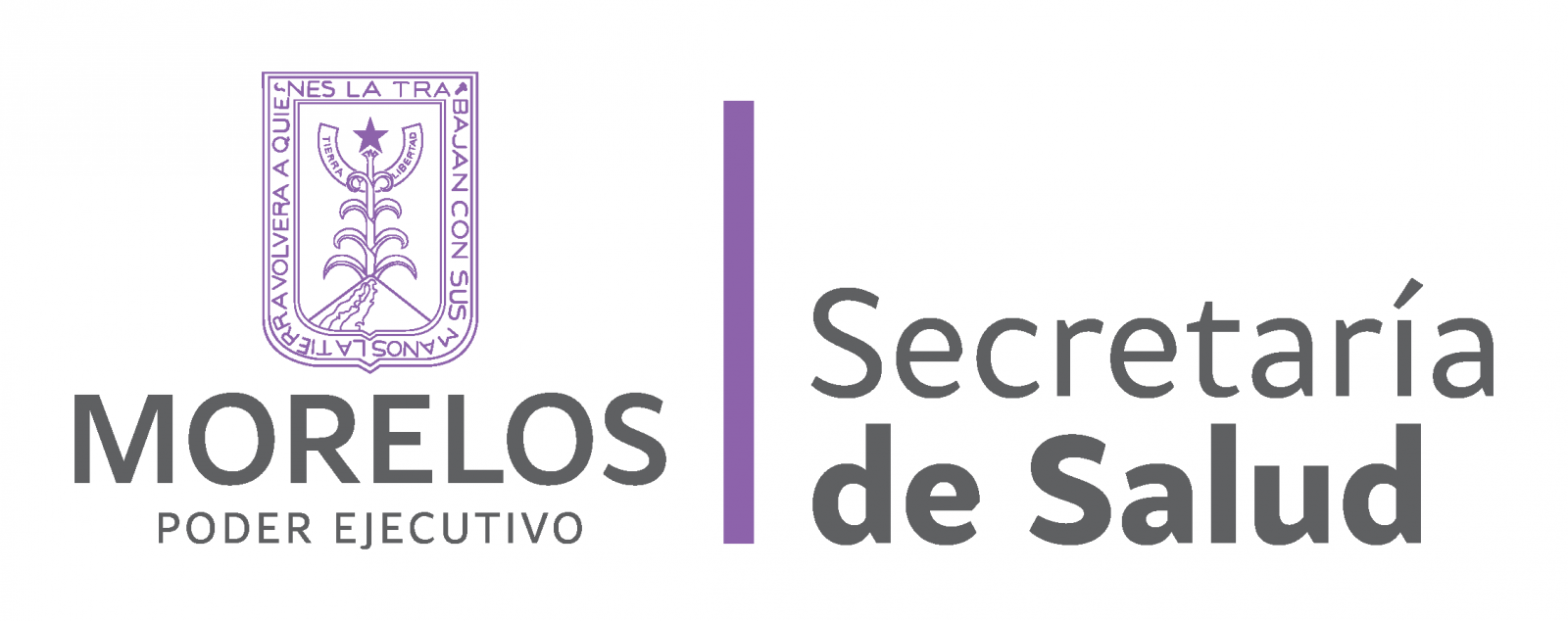 https://0201.nccdn.net/1_2/000/000/0d7/b0d/saludmorelos.png