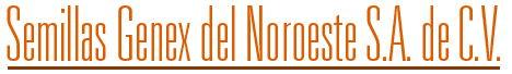 Venta de semillas – Semillas Genex del Noroeste – Hermosillo