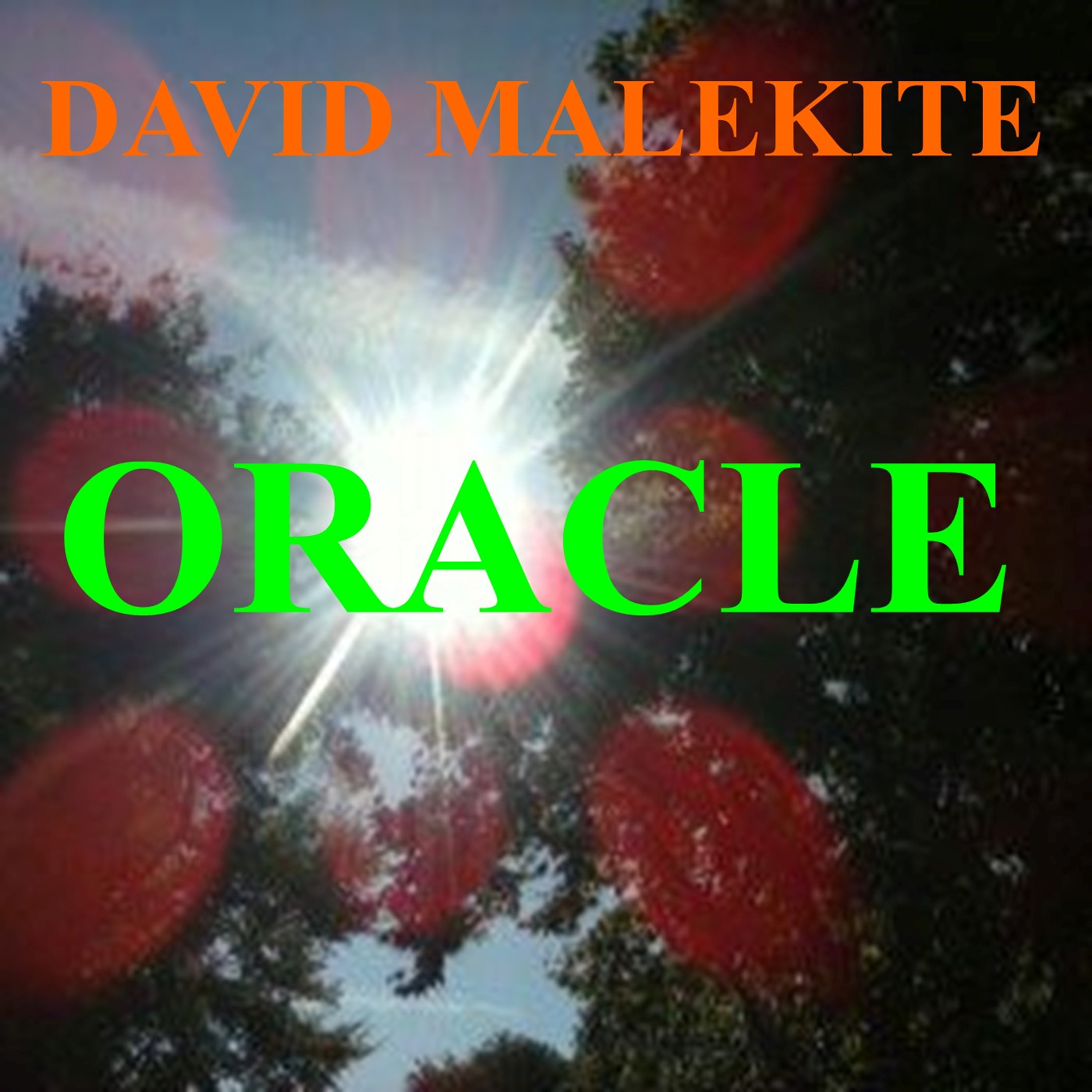 https://0201.nccdn.net/1_2/000/000/0d8/b51/david-malekite---oracle.jpg