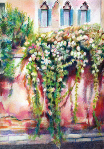 Cannaregio roses (Coloured Pencil on HP 8.25" x 11.75")