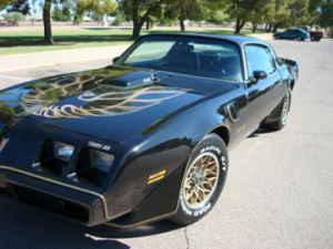 1979 Trans am for sale. 403 motor nice! $12,500
SOLD WENT TO SWEDEN !  COLD !  JAN 2010