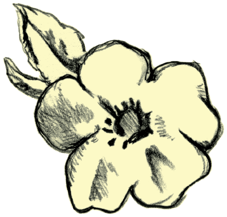 &quot;The data presentation is excellent.  ....And, those simple pull maps of before and after are great, the simplest and best I’ve ever seen.  &quot; -- TVL 