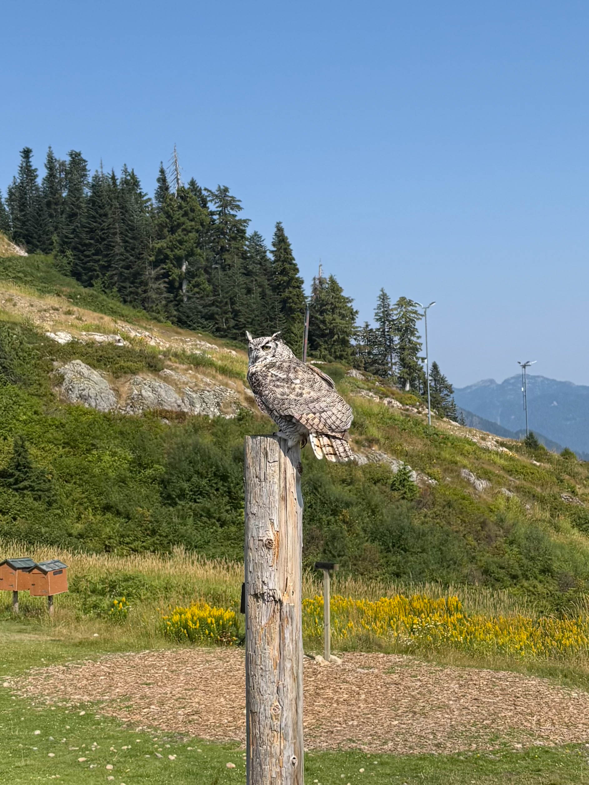 https://0201.nccdn.net/1_2/000/000/0d9/bef/vancouver-order-117.jpg