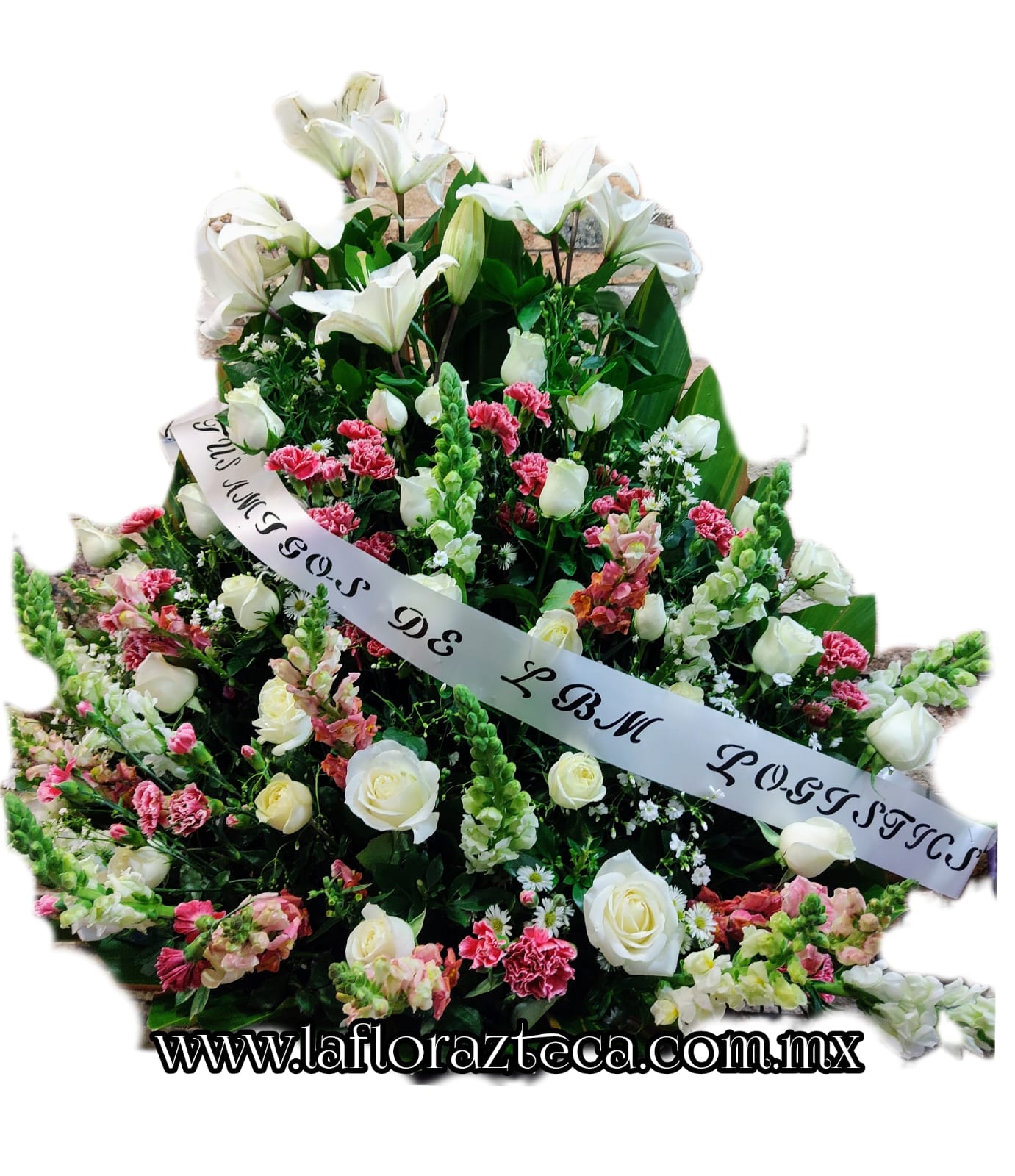 LFA-903
Precio $1,680