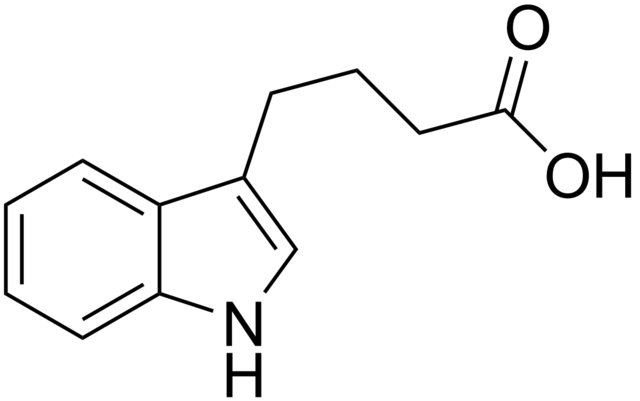 IBA Molecule