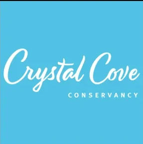 https://0201.nccdn.net/1_2/000/000/0da/88e/crystal-cove-logo.png